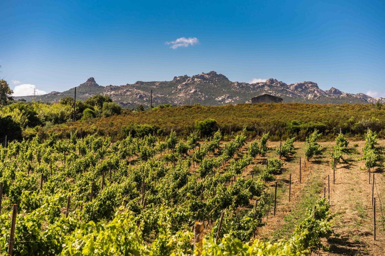 Locanda In Vigna Arzachena Bagian luar foto