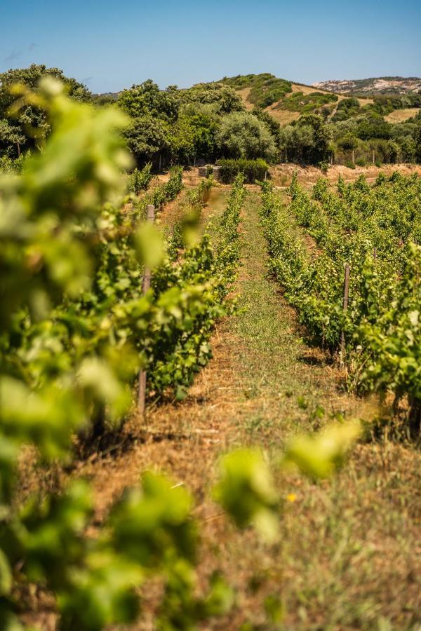 Locanda In Vigna Arzachena Bagian luar foto