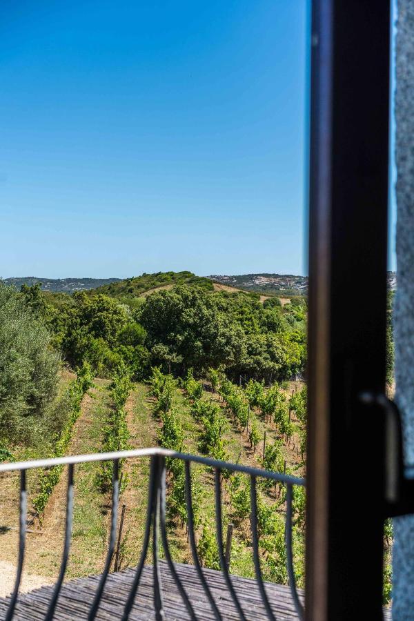Locanda In Vigna Arzachena Bagian luar foto