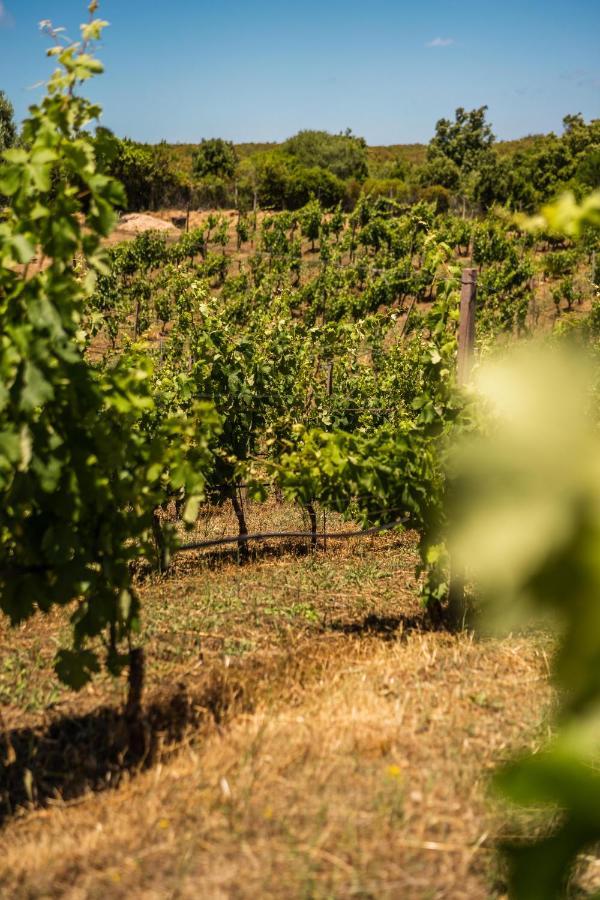 Locanda In Vigna Arzachena Bagian luar foto