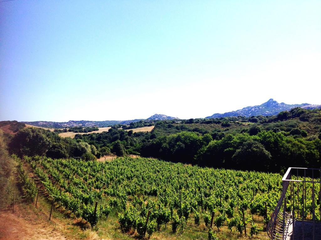 Locanda In Vigna Arzachena Bagian luar foto
